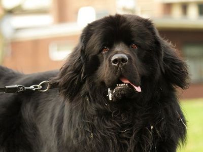 ������Ĺ12