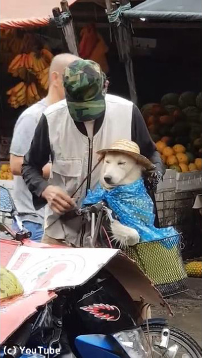 �ߤ���������Ļ����礵�󤬰����ˤȤä���ư�˿����ޤ�05