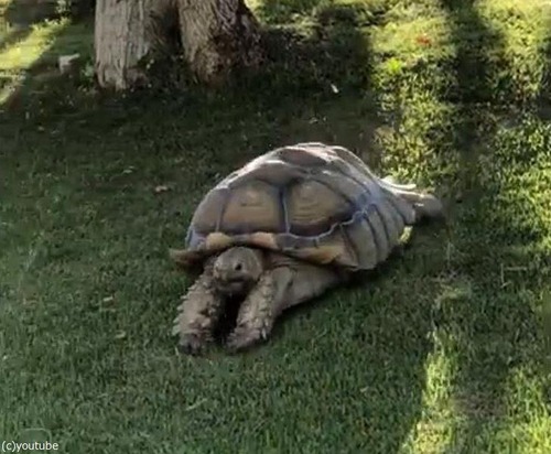 ���Υ����ѡ��ޥ�03