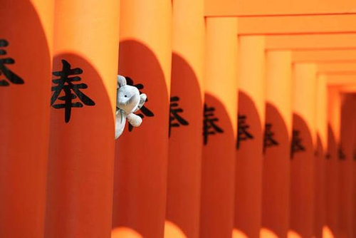 子供のぬいぐるみが世界中を旅09