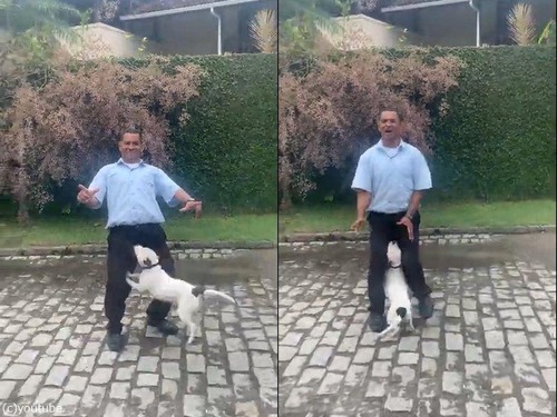 ���β��ǥݡ������᤿�������ä�������01