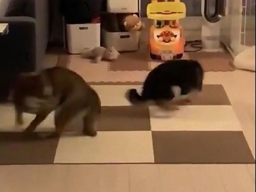 ��������ͷ�ӤΥ롼�뤬�狼��ʤ�03