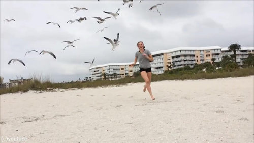 カモメの群れに追いかけられる女の子03