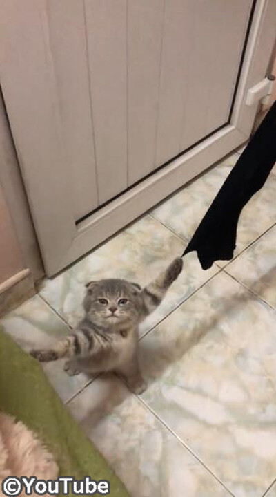 ��ǭ��������ͷ�Ф��Ƥ���ĤȤ�Ǥ�˥㤤���Ȥˤʤä�01