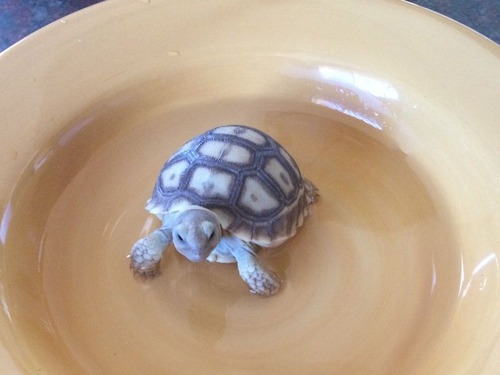 ���Υ����ѡ��ޥ�05