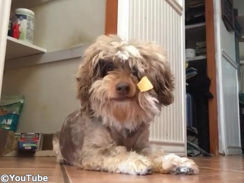 Ĺ�Ӥʤ�ǤϤ�Ǻ��00