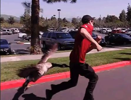 ���ʥ��ηٻ��ϸ���Ȥ�ʤ�03