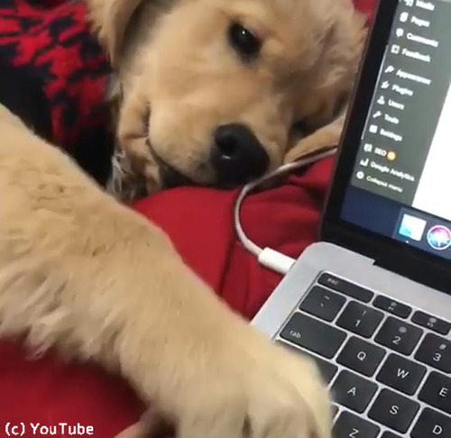 �����礵��˻Ż��򤵤������ʤ���ȥ�С��λҸ�01