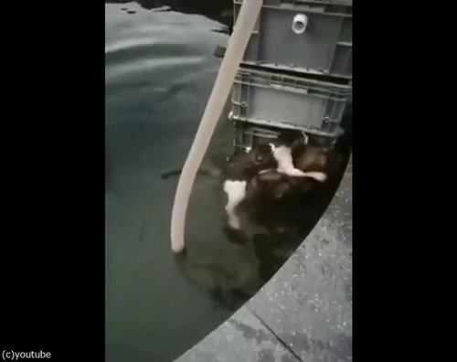 Ů��Ƥ���ǭ��߽Ф��븤03