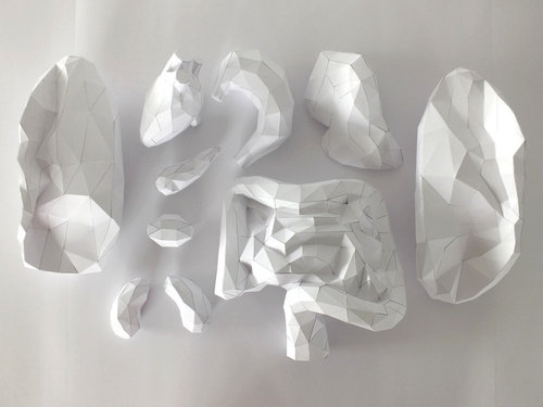 人体模型ペーパークラフト05