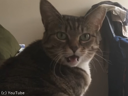 ��ʢ����������ʹ���Ȥ��ֻ�����ǭ��04