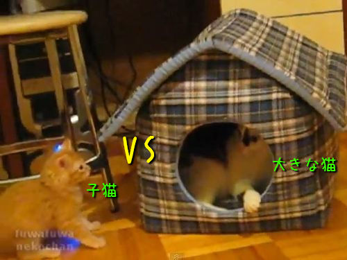 ��ǭ�ν���