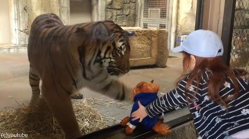 �̤�����ߤȸ�02