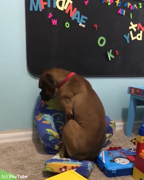 �緿���֤ɤ����Ƥ�¤äƤߤ����ä���02