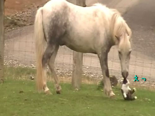 �������ȥݥˡ�01