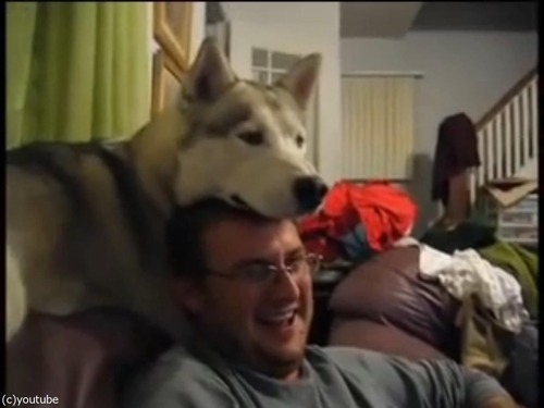 ����Ƭ�ξ�˴��褻�Ƥ���ȤǤ���ͷ��06