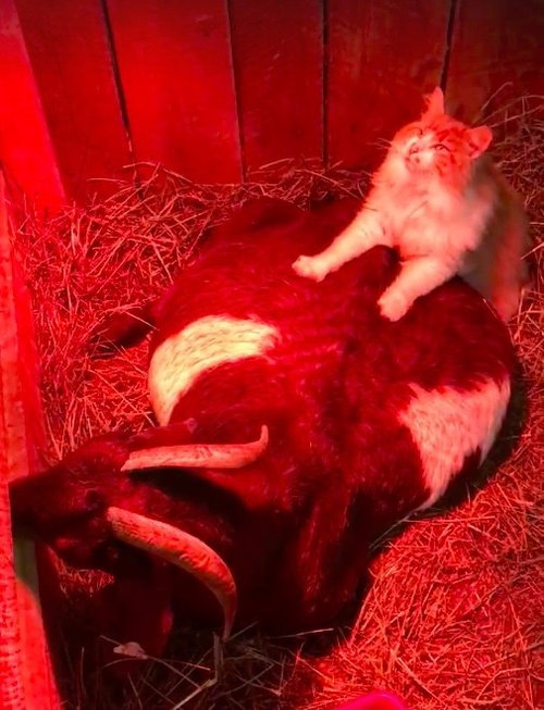 �䥮�ν����դ򤹤�ǭ01