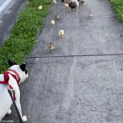 �ҥ�Ļ���������˰�������01