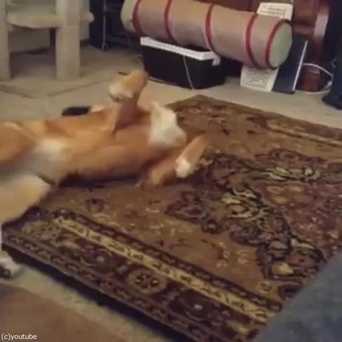 �ᤷ�ߤ�ɽ����˭���ʸ�04