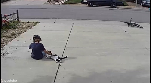 ���ξ�ǯ���������������ܤ�ǭ����Ǥˤ�äƤ���03