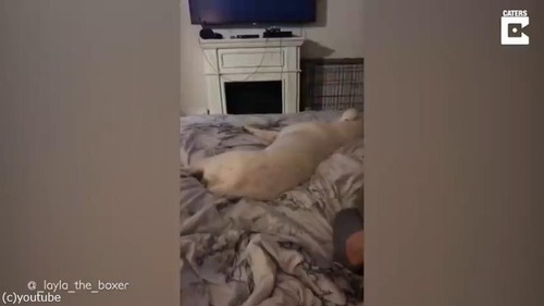 �������Ƥ���֤˥��ʥå��ۻҤ򿩤٤褦�Ȥ������04