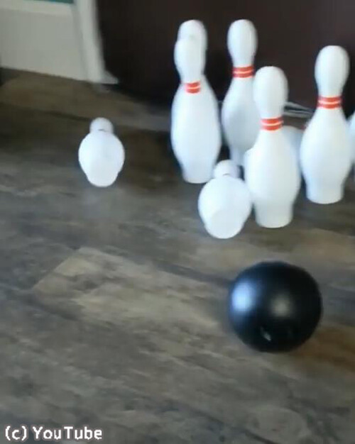 ̤��Υȥåץ����꡼�ȡ���ư����ȴ���ʡ��ˤʹ�ǭ03