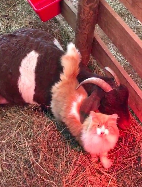 �䥮�ν����դ򤹤�ǭ03