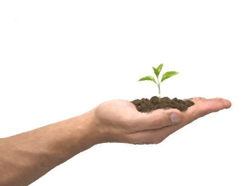 たった一人で森を作り上げた男00