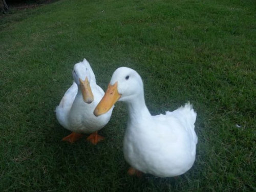 ���ҥ�ε�­12
