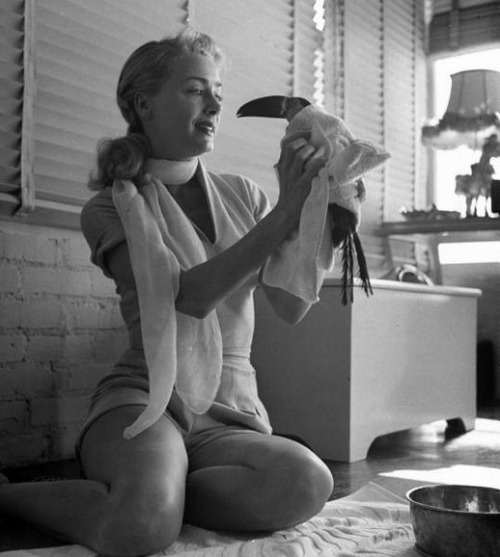 エキゾチックなペット09