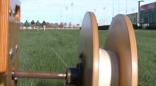 競馬場にチーター03