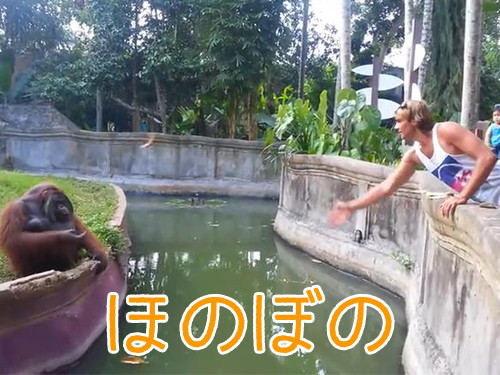 ����󥦡������ͧã00