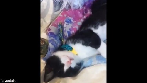 ������ǭ�ο���01