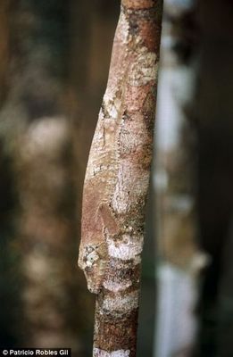 �ݸ�ȥ���08