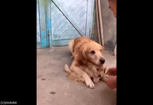 ���ݸ�ʸ�04