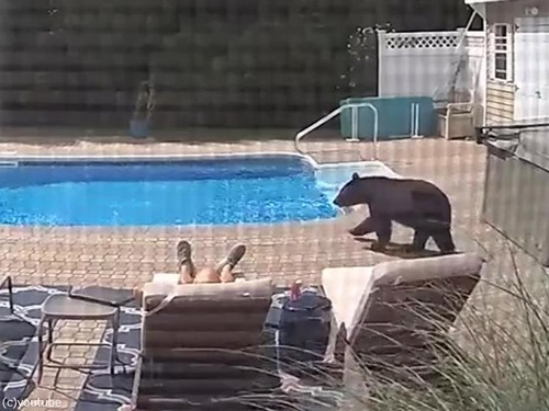 �ס��륵���ɤǿ��Ƥ��饯�ޤ�­���ͤäĤ��Ƥ���01