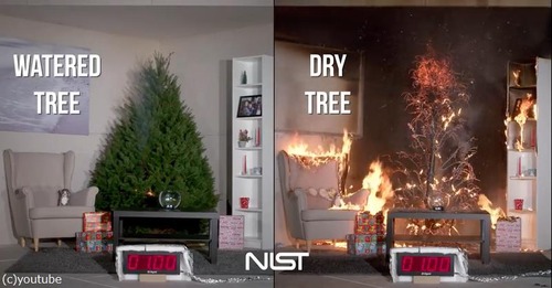 クリスマスツリーの扱い方法に注意04