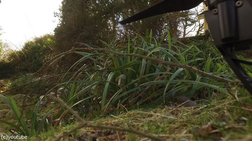 裏庭に穴が開いたのでドローンで撮影02