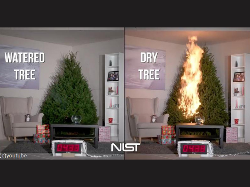 本物のクリスマスツリーに注意喚起 これほど激しく燃えるとは 動画 らばq