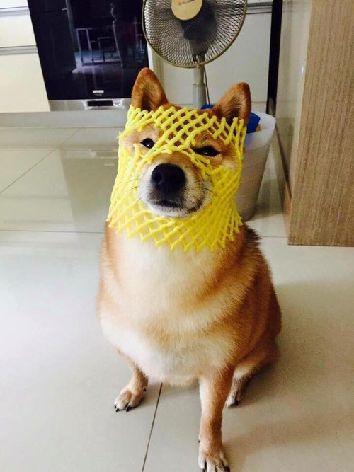 RPGで最初の装備01