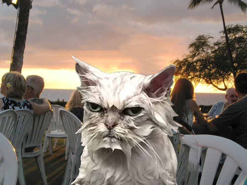 友人のペットの美容室04