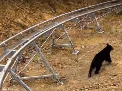 ジェットコースターでクマに遭遇