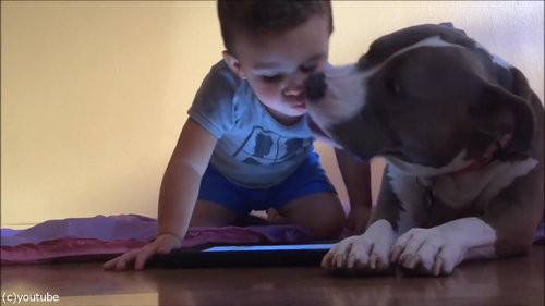 ��ȸ���iPad04