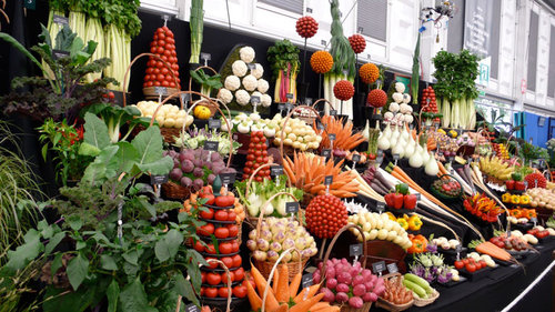 野菜の陳列アート10