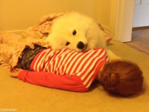 ���λҤȥ��⥨�ɤλҸ�02