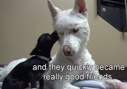 ���ߤλ�����餹�ۡ���쥹����߽�15