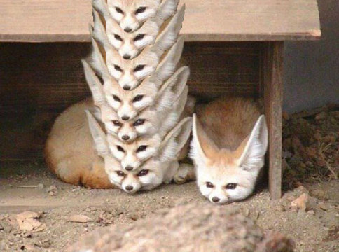 �֥饦���ߤ����ʥ��ĥ�03