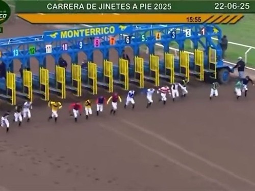 ペルーのチャリティで騎手が馬に乗らずに自分の足で競い合う