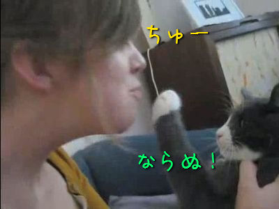 どうしてもキスを嫌がるネコ