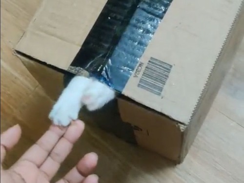 攻撃的な宅配物
